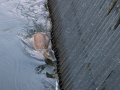 IMG-20260622-WA0001_1
